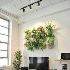 Grow Lights Modern Living Walls