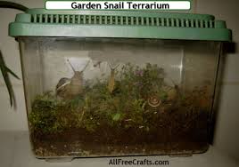 how to keep pet garden snails