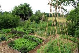 apply permaculture to your home garden