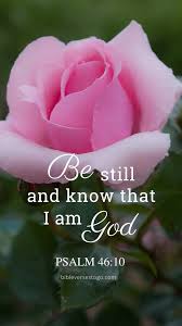pink rose psalm 46 10 encouraging