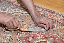 carpet repair from pet damage el