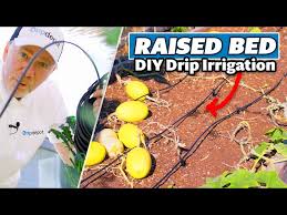Install Drip Irrigation For Raised Beds