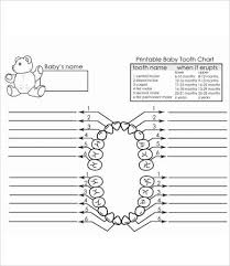 Baby Teeth Chart 8 Free Pdf Documents Download Free