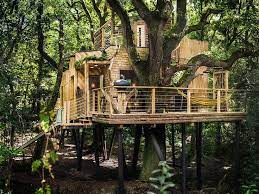 Modern Tree House Designs