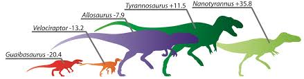 Paleontologists Link Leg Length To Running Ability In