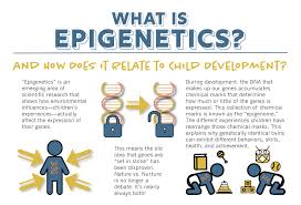 what is epigenetics the answer to the