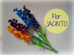 Resultado de imagen para flores jacinto