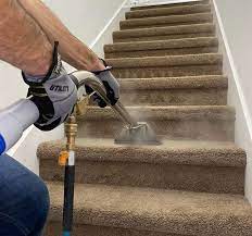 professional carpet cleaning companies