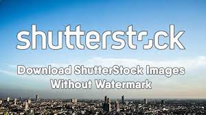 shutterstock images without