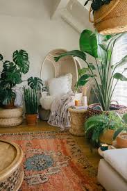 11 best large indoor plants to add to