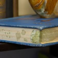Follow the instructions in this guide. How To Remove Mold From Books Art Recovery Technologies