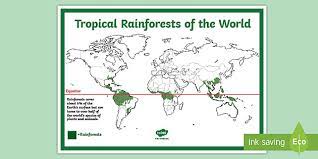 Tropical rainforests' wet and dry seasons vary in their timing, duration and severity around the globe. Free Rainforest Map Ks2 Reference Sheet Teacher Made
