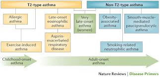 Asthma Nature Reviews Disease Primers