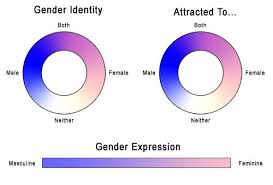 The Gender Spectrum Queer Resources