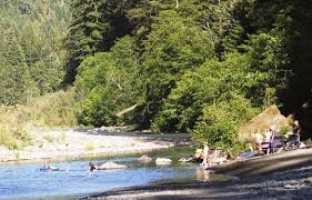 Check spelling or type a new query. Swimming Hole In Grizzly Creek State Park On The Van Duzen River Swimming Holes Off Of The Redwoods Humboldt Redwoods State Park State Parks State Parks Usa
