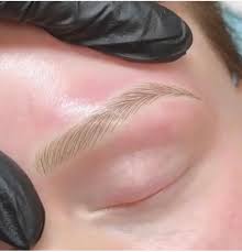 phibrows brow aid