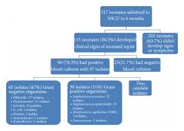 Study Enrollment Chart And Pathogens Recovered From Neonatal
