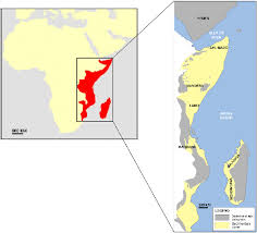 Map Of East African Coastal Basins