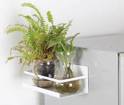 The Best 9 Indoor Hanging Plants Even A