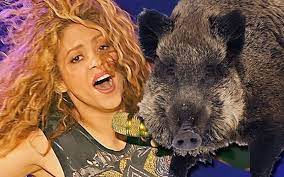 Shakira & Son Attacked By Wild Boars