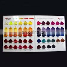 Book Form Hair Dye Color Chart For Professional Hair Color