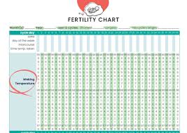 Fertility Chart Mummypages Mummypages Ie