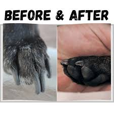 best nail grinders for dogs reviews
