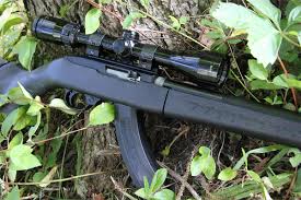 best ruger 10 22 s for hunting
