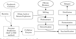 Figure 1 From Economic Analysis Of Cellulase Production