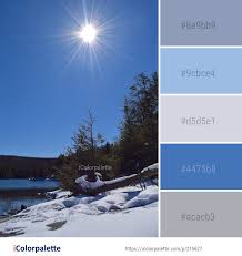 70 winter color palette curated