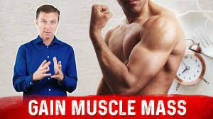 intermittent fasting and muscle m