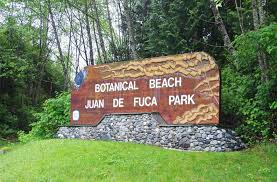 A Day Trip To Botanical Beach Near Port Renfrew Bc Hike