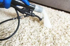 professional area rug cleaning tinley