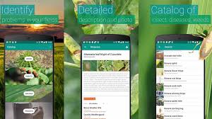 Plant id.apk, you must make sure that third party apps are currently enabled as an installation source. 10 Best Plant Apps And Flower Identification Apps For Android