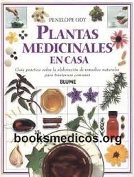 El libro memorial de hierbas en formato epub. Plantas Medicinales En Casa Penelope Ody Booksmedicos