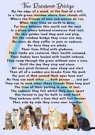 rainbow bridge for cats pet bereavement