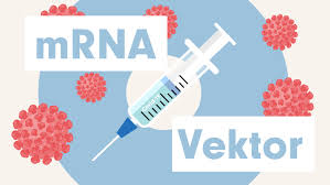 Wird die impfung sicher sein? Sars Cov 2 Corona Impfstoffe Im Vergleich Mrna Und Vektor Open Science