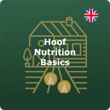 equine nutrition course hoof