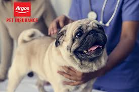 The argos card allows you to buy now, pay later and it's easy to manage your account with the argos card app. Best Pet Insurance Uk 2021 Hellobark