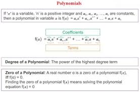 polynomials a plus topper