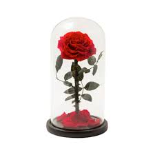Eternal Rose In A Glass Dome Red Rose
