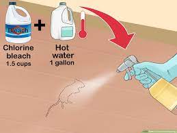 how to clean rat droppings 14 steps