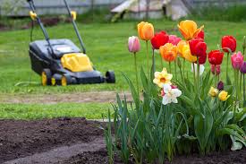 Weed Control Lawn Care I Calgary
