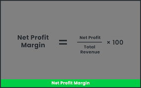 exploring net profit margin in