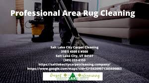 professional area rug cleaning salt