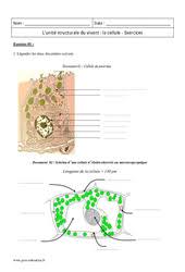 exercice svt seconde 2nde