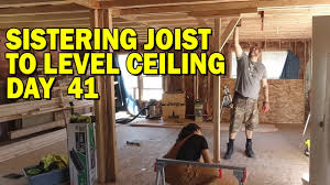 sistering joists to level ceiling day