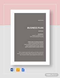 sle business plan outline