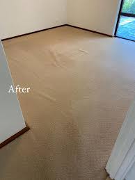 carpet cleaning perth get a free