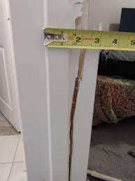 how much it cost to repair a door frame